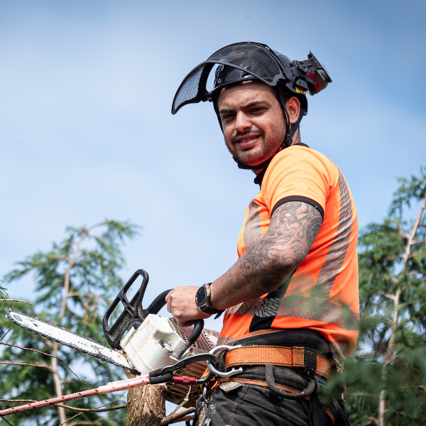 Entretien,plantation,élagage et abattage,terrasse,abris de jardin,élagage,abattage,clôtures,écrans de jardin,espace vert,jardin,arbre,manteca,Mettet,Namur,Philippeville,Florennes,devis,patron,délai
