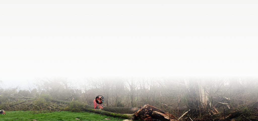 Entretien,plantation,élagage et abattage,terrasse,abris de jardin,élagage,abattage,clôtures,écrans de jardin,espace vert,jardin,arbre,manteca,Mettet,Namur,Philippeville,Florennes,devis,patron,délai